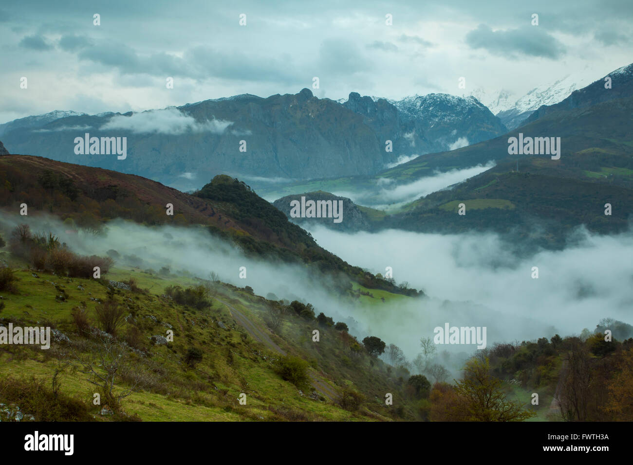 Misty mañana en el Parque Nacional de Picos de Europa, Asturias, España. Foto de stock