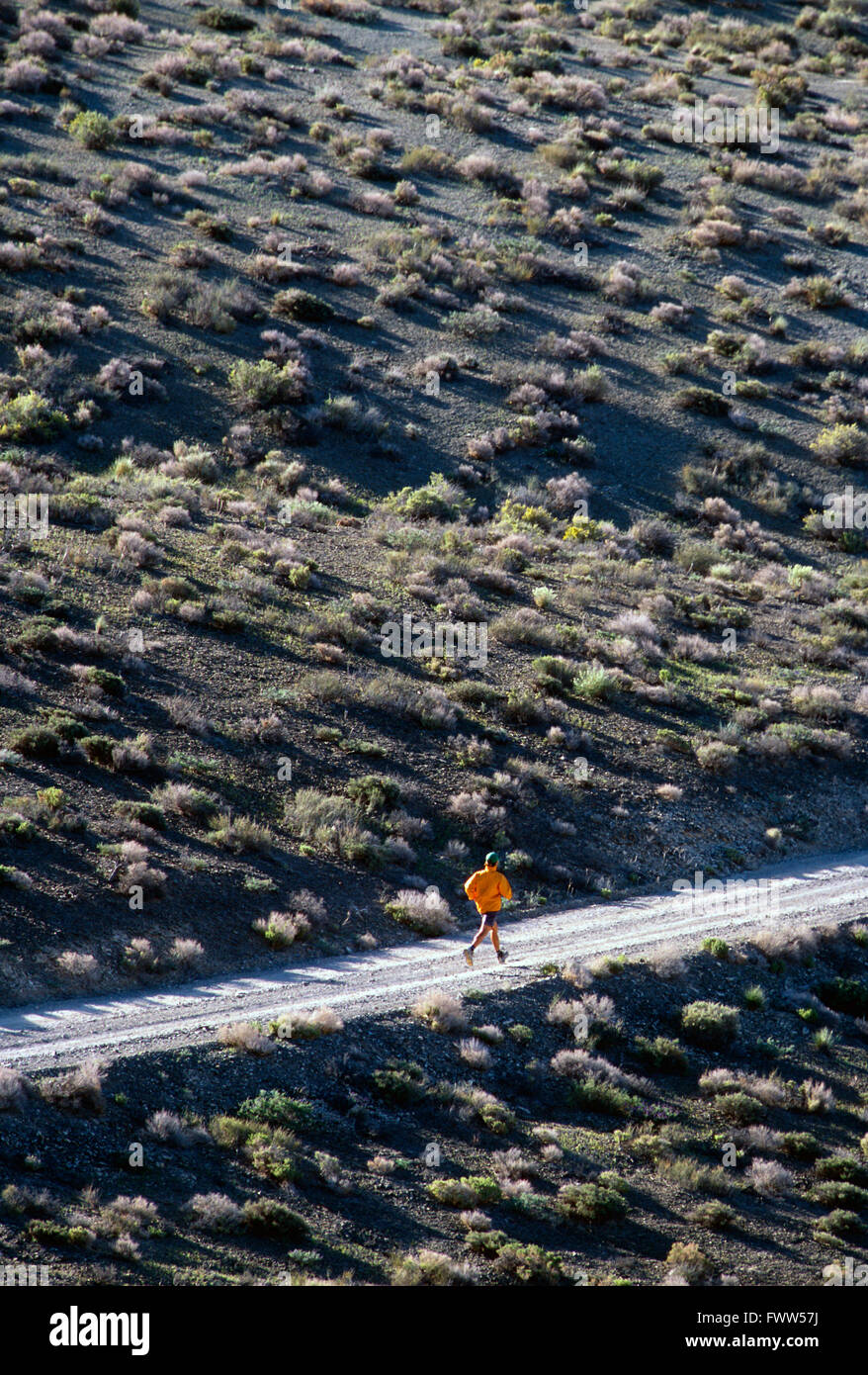Colocar macho joven atleta Trail Runner en Sierra Nevada, California, faldas Foto de stock