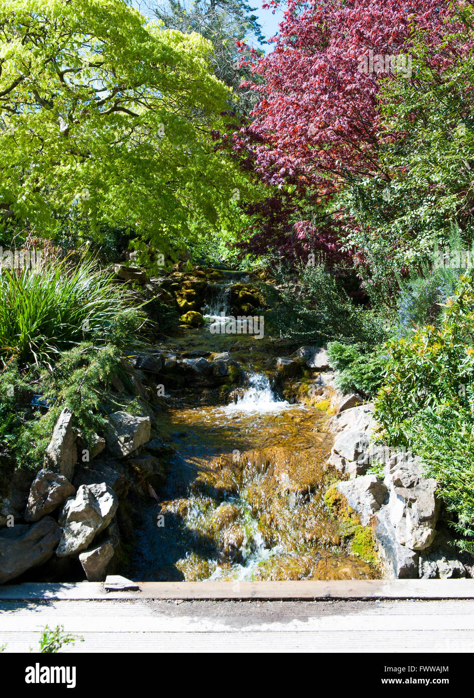 Dublín, Irlanda -21, abril ,2015: La cascada en el Jardín Botánico Nacional el 21 de abril de 2015 en Dublín, Irlanda. Hermosa Foto de stock