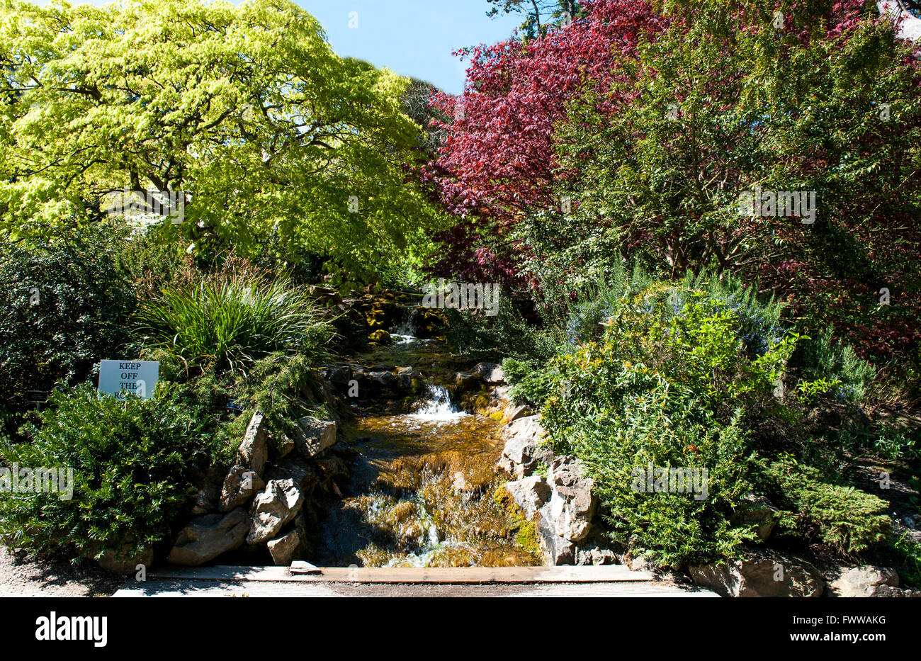 Dublín, Irlanda -21, abril ,2015: La cascada en el Jardín Botánico Nacional el 21 de abril de 2015 en Dublín, Irlanda. Hermosa Foto de stock