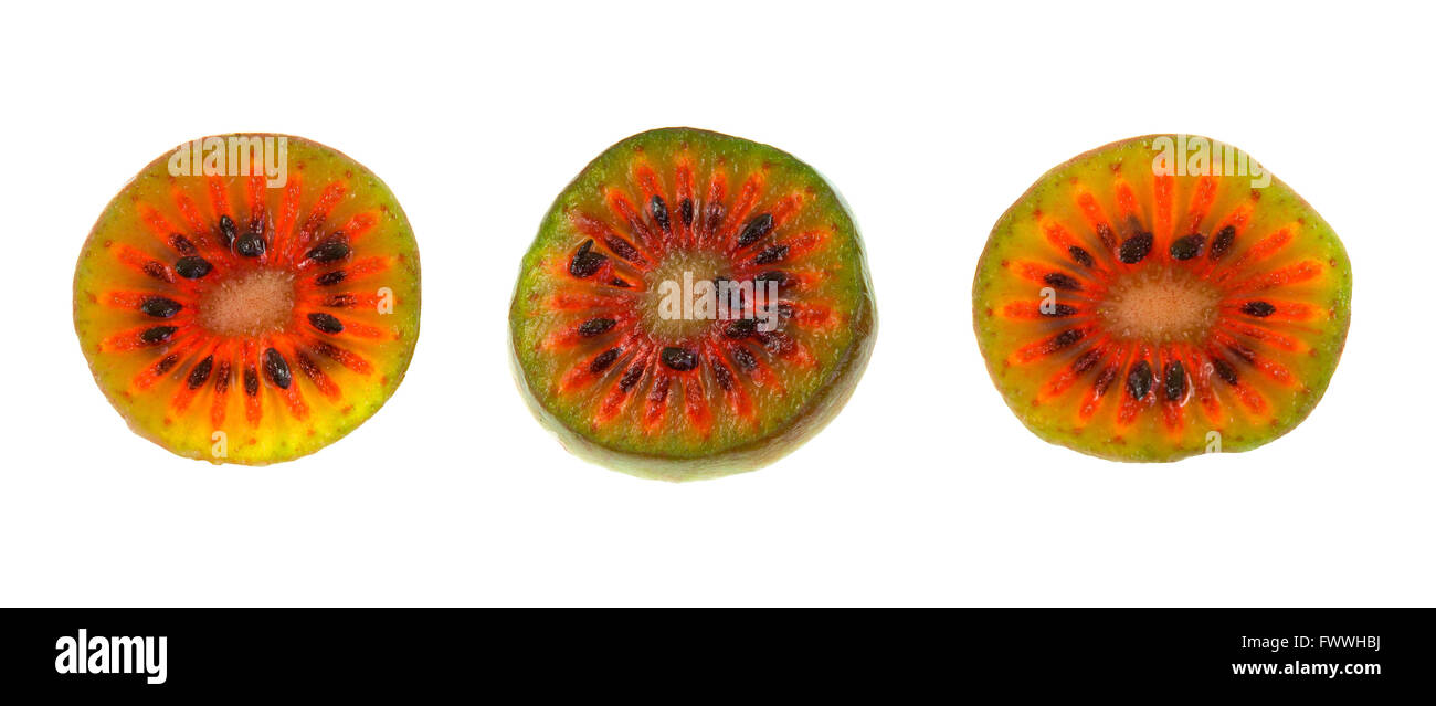 Rebanadas de kiwi hardy rojo (Actinidia arguta), una enredadera perenne que produce un pequeño fruto parecido a los kiwis Foto de stock