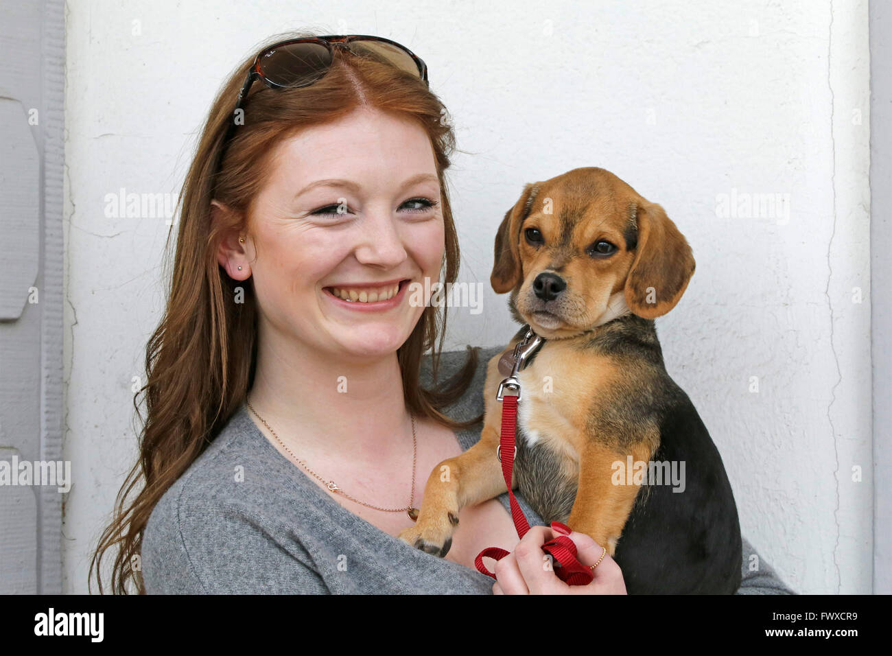 Retrato de una mujer joven con su perro pequeño Foto de stock