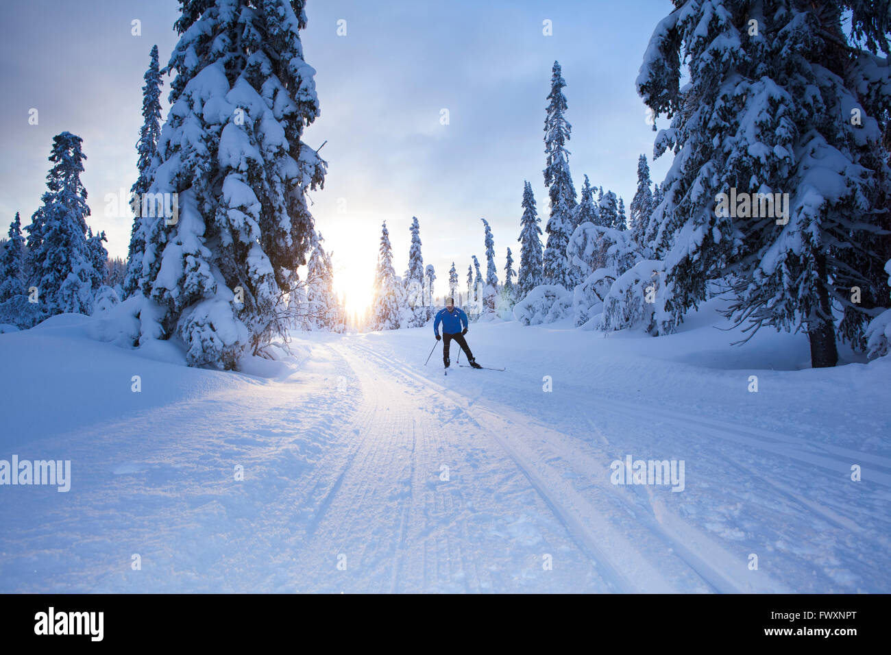 Suecia, Dalarna, salen, hombre maduro, esquí cross-country al atardecer Foto de stock