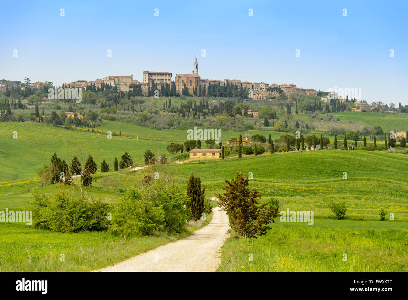 Italia, Siena, San Quirico d'Orcia, carretera que conduce al municipio de país Foto de stock