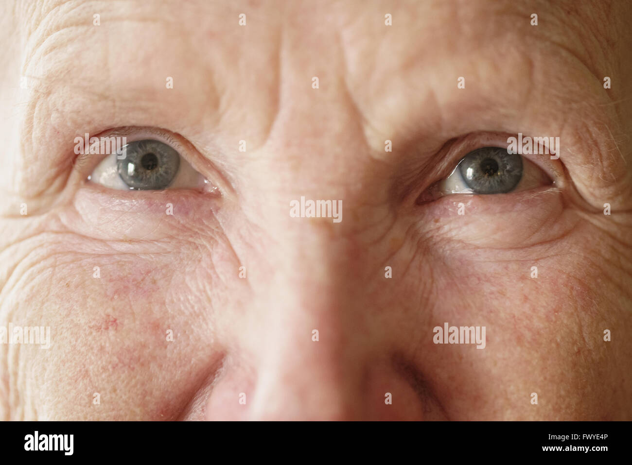 Mujer senior grandma ojos mirando a la cámara de cierre vertical Foto de stock