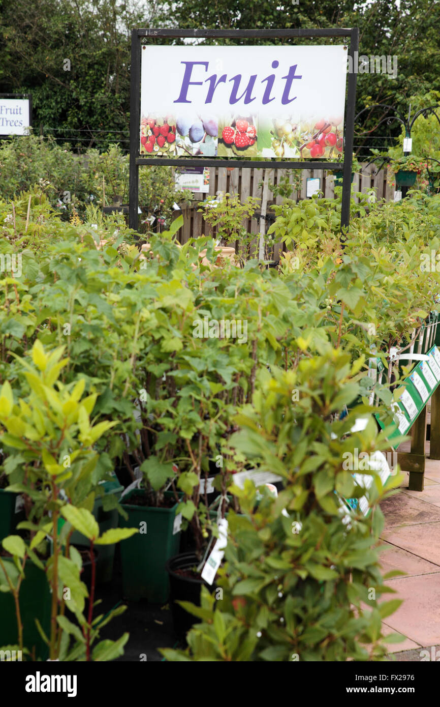 Plantas Frutales y árboles para la venta en el centro de jardinería, de Horsham, West Sussex, Inglaterra Foto de stock