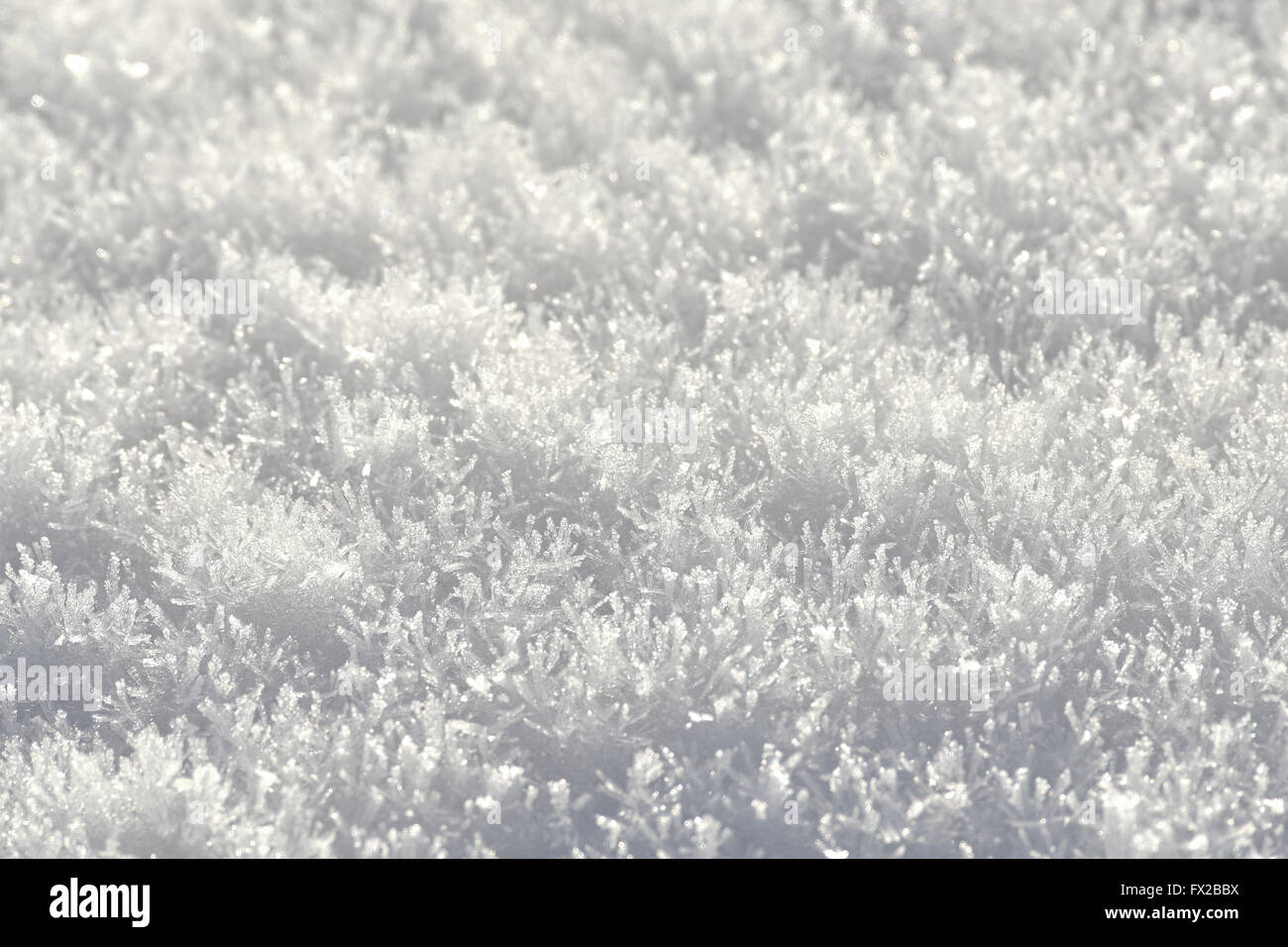 Cristales de nieve en el suelo con alto contraste de sombras Foto de stock