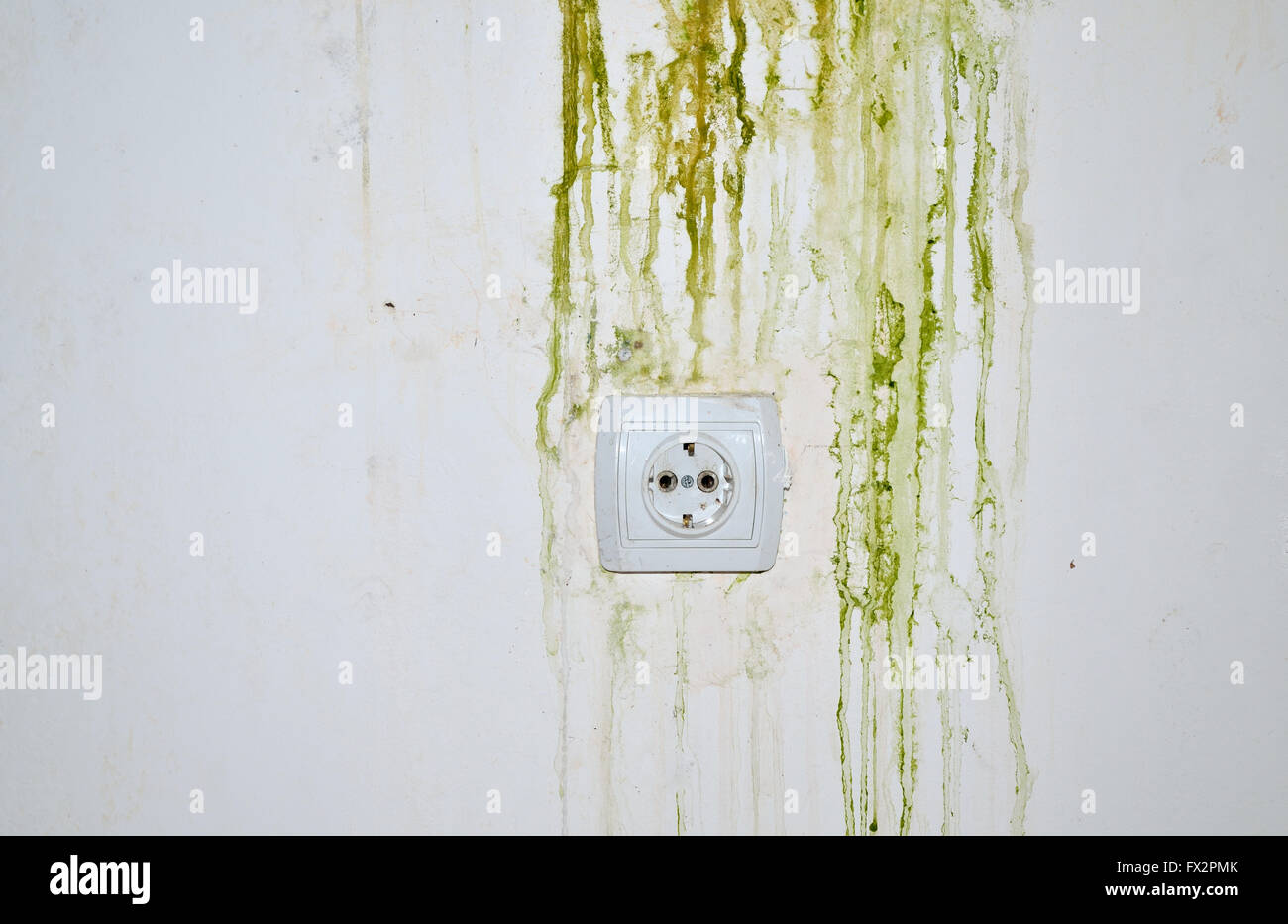 El moho verde sobre pared blanca con enchufe de alimentación Foto de stock
