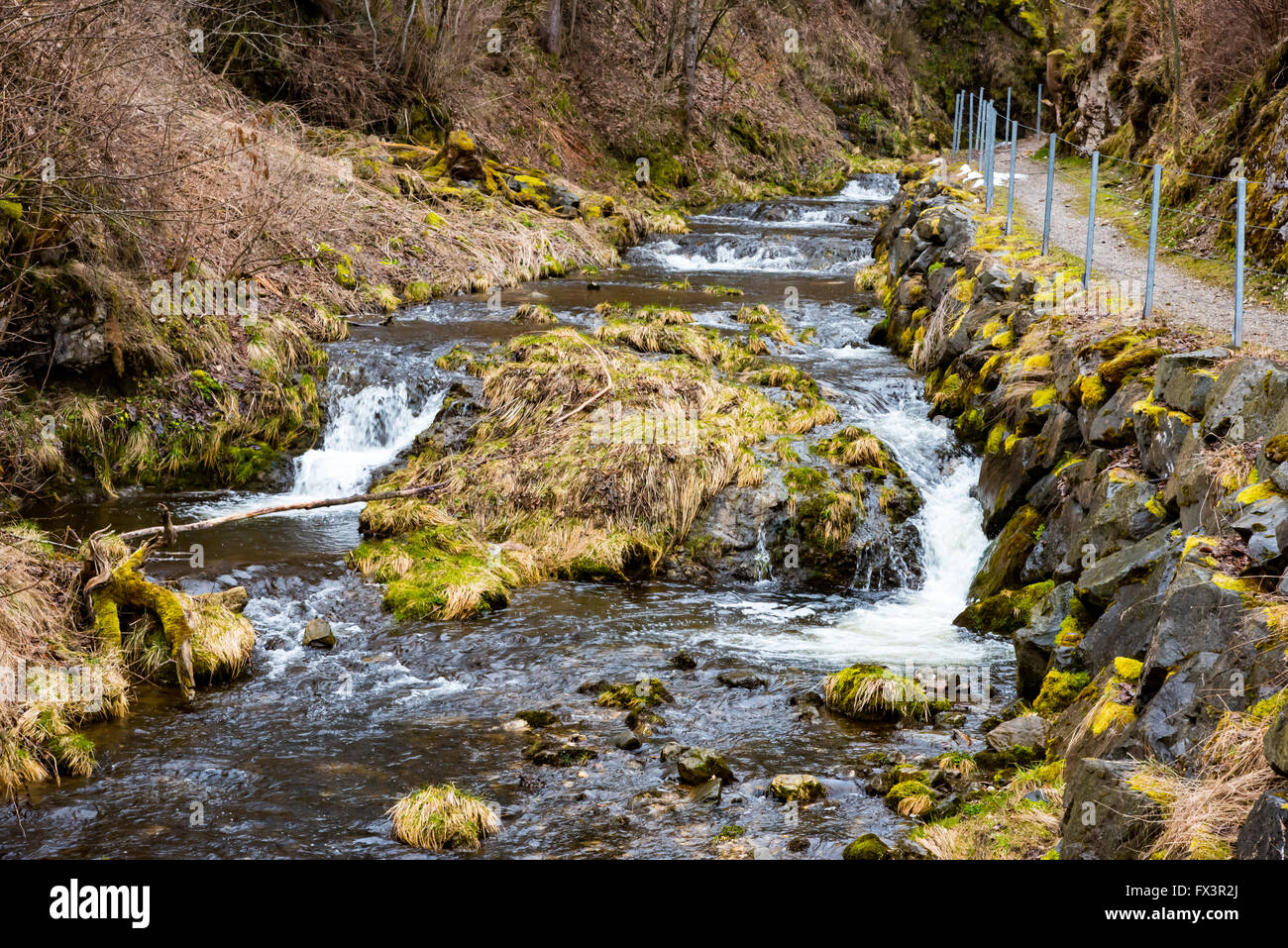 Arroyo de Montaña en Alemania. Foto de stock