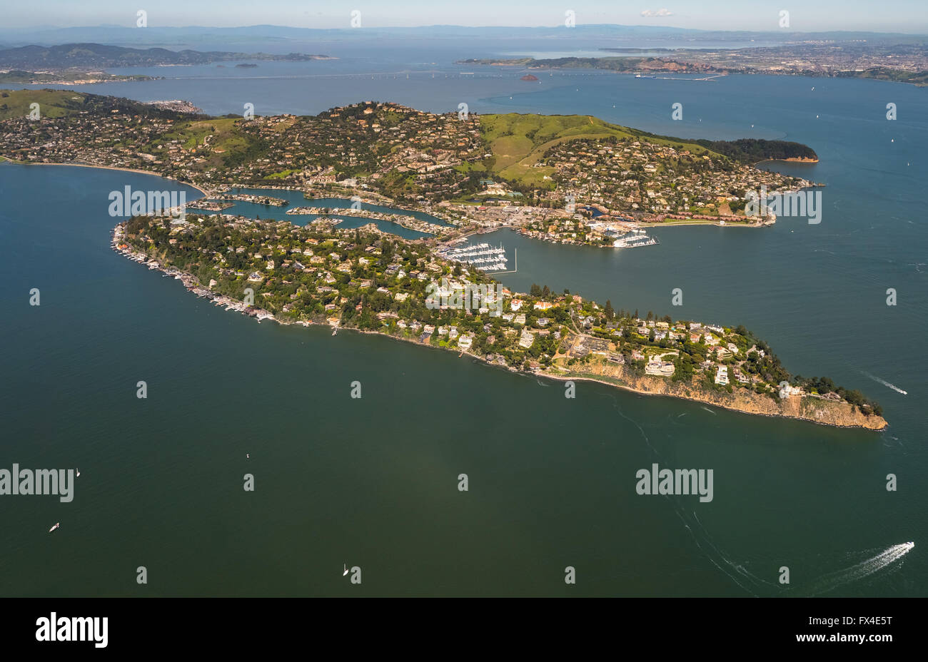 Vista aérea de la península, Belvedere Tiburon, área de la Bahía de San Francisco, Estados Unidos de América, California, EE.UU. US, antena, Foto de stock