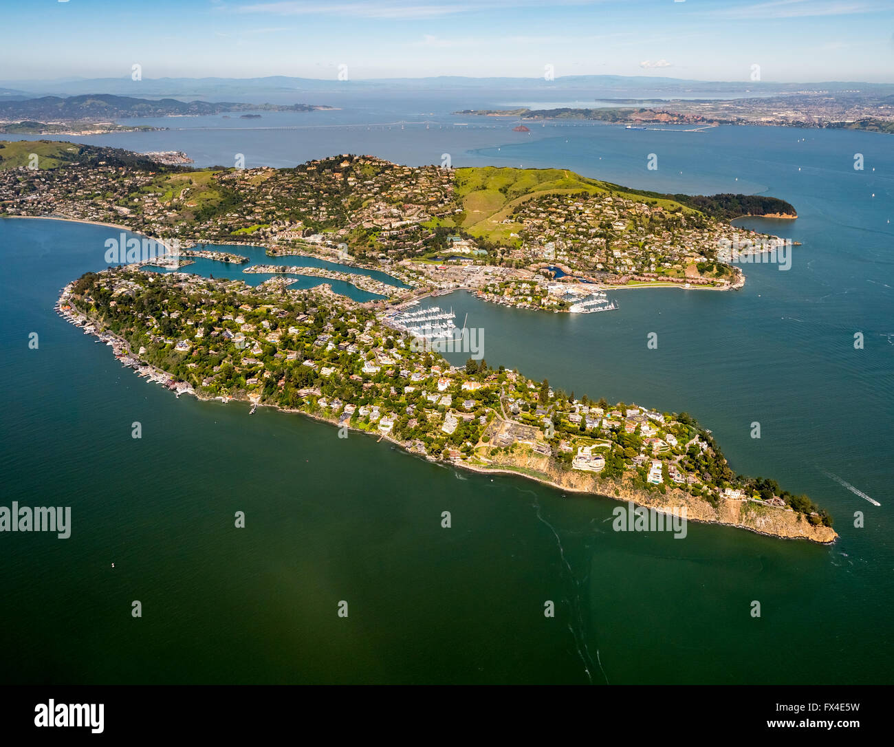 Vista aérea de la península, Belvedere Tiburon, área de la Bahía de San Francisco, Estados Unidos de América, California, EE.UU. US, antena, Foto de stock