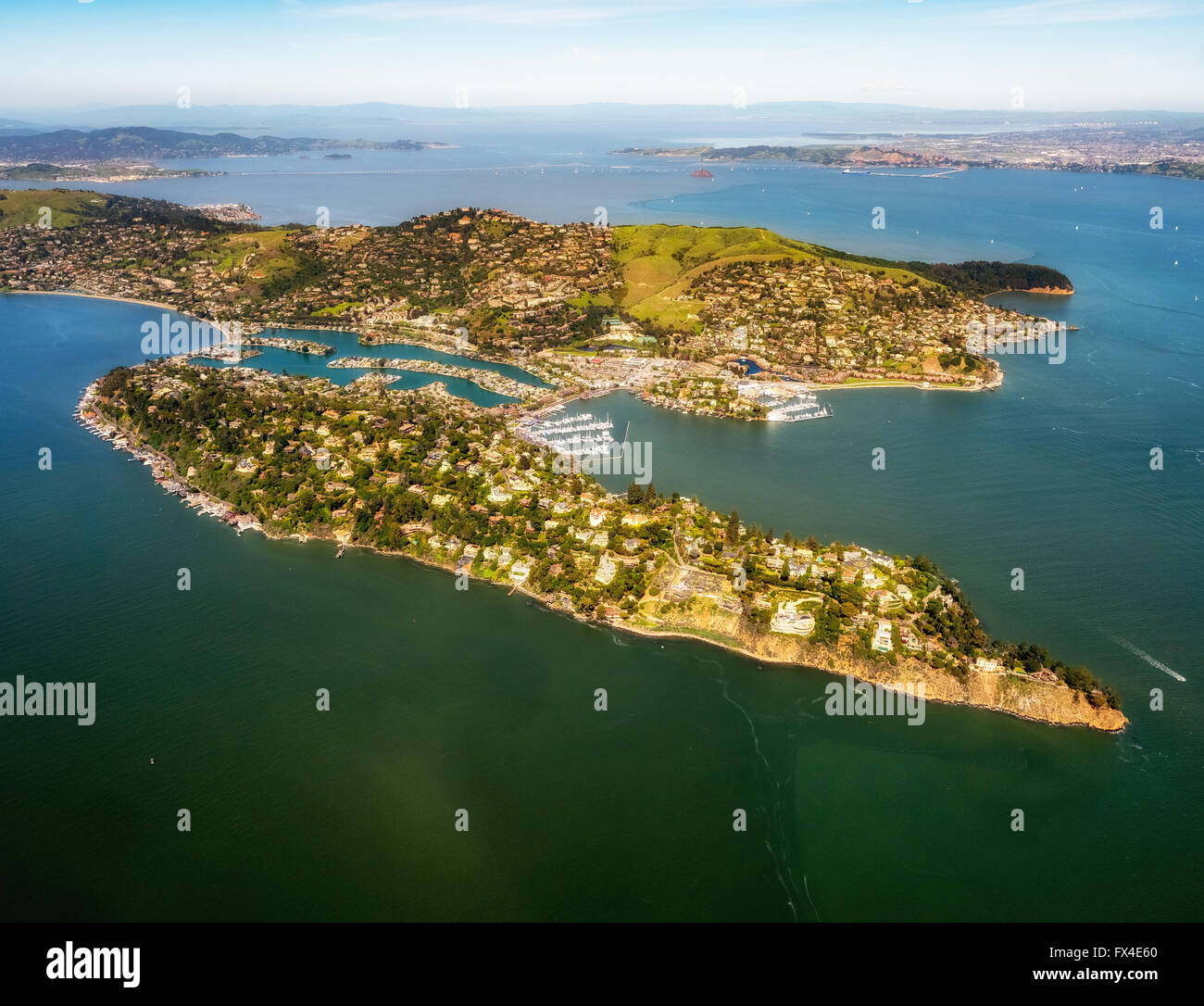 Vista aérea de la península, Belvedere Tiburon, área de la Bahía de San Francisco, Estados Unidos de América, California, EE.UU. US, antena, Foto de stock