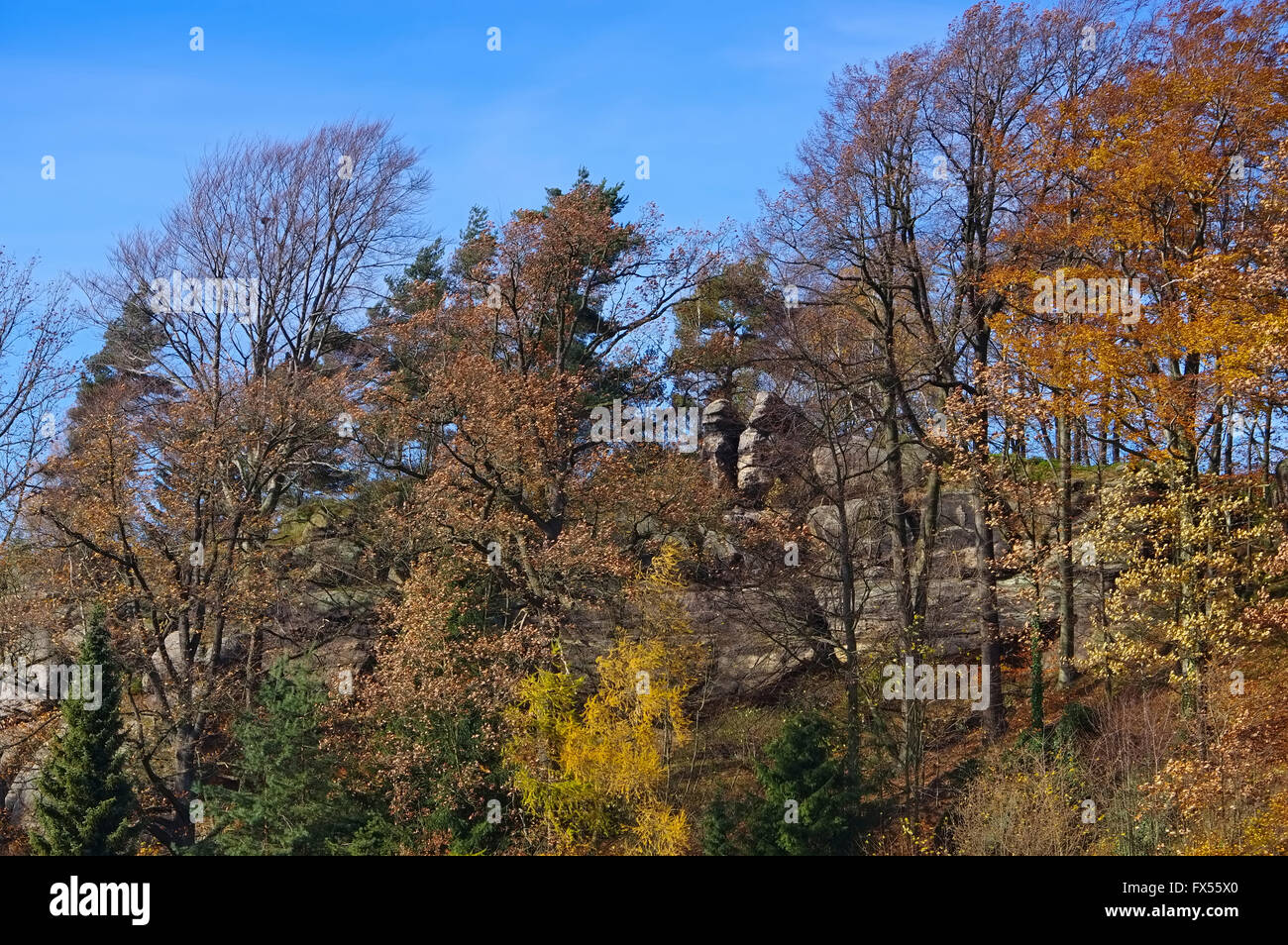 Jonsdorf Felsen im Herbst im Zittauer Gebirge - rocas Jonsdorf en otoño en Zittau montañas Foto de stock