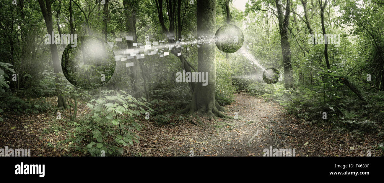Orbs pasando pixelado información en bosque remoto Foto de stock