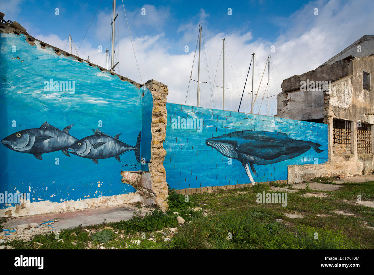 La pintura de la pared de atún. Sancti Petri, Chiclana de la Frontera, Cádiz Cádiz, Andalucía, España. Europa Foto de stock