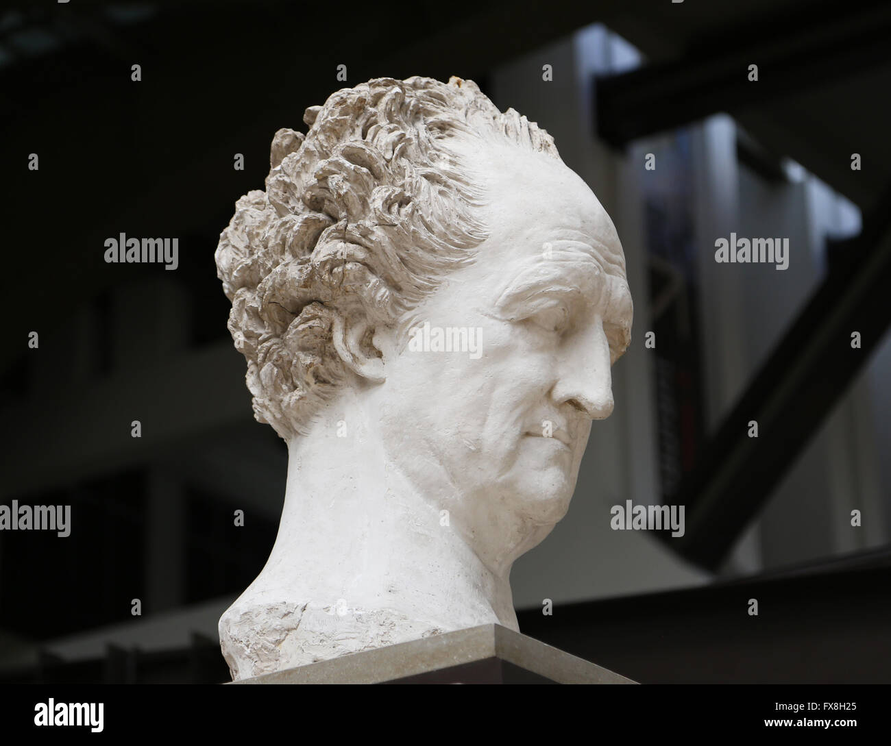 Johan Wolfgang von Goethe, 1829-1831. Yeso colosal cabeza por David D'Angers (1788-1856). Museo de Orsay. París. Francia. Foto de stock