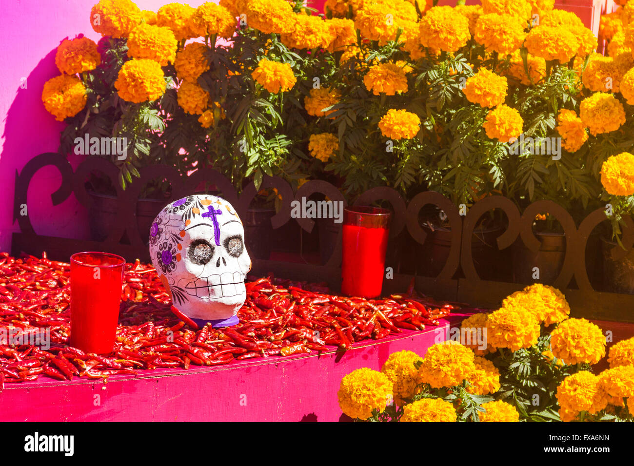 Chile y flores, dia de muertos celebración Fotografía de stock - Alamy