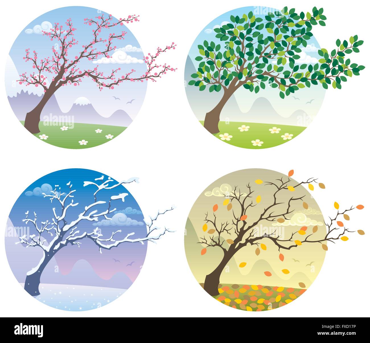 Examinar detenidamente Geografía eje Ilustración de dibujos animados de un árbol durante las cuatro estaciones  del año Imagen Vector de stock - Alamy