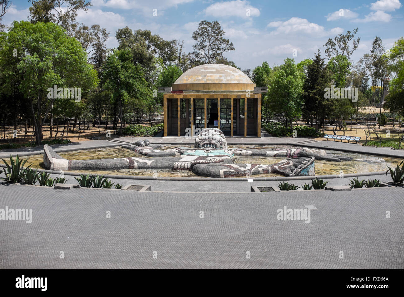 Bosque de Chapultepec en la Ciudad de México Foto de stock