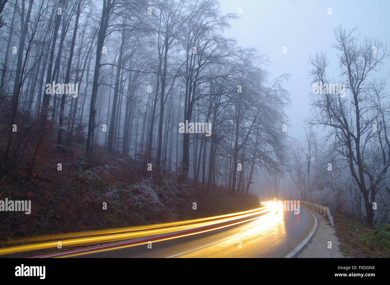 Peligro en la carretera de invierno mala visibilidad luces nocturnas Foto de stock