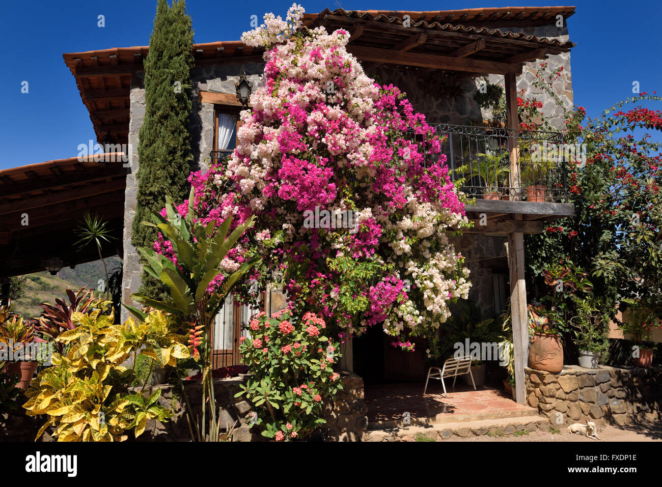 Jardín de flores en la hacienda de una fábrica de Tequila en San
