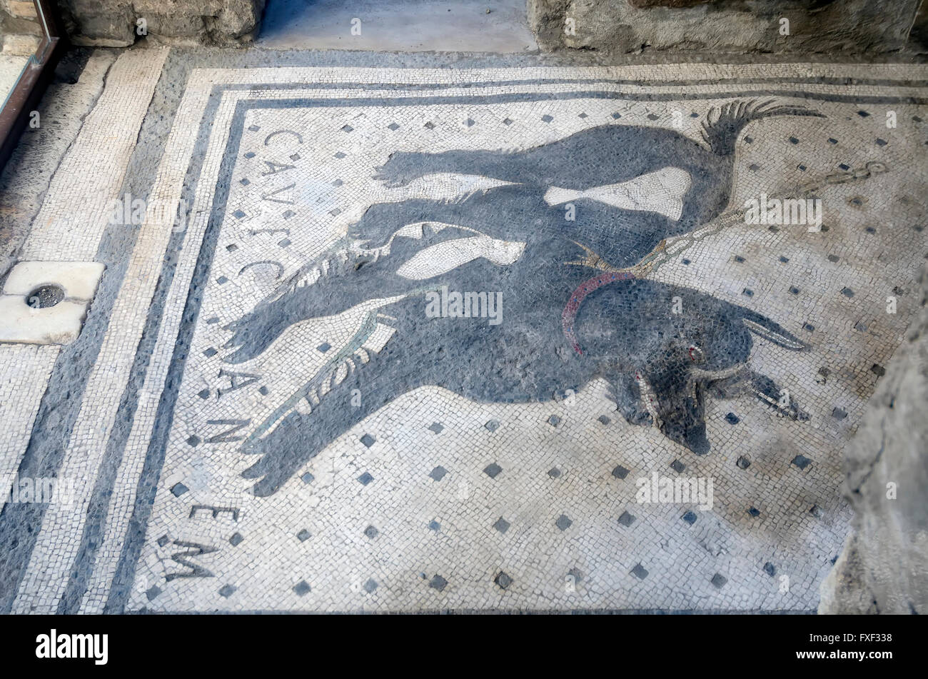 Cave Canem "Cuidado con el perro' suelo de mosaico famosa frase latina, Pompeya Italia Foto de stock