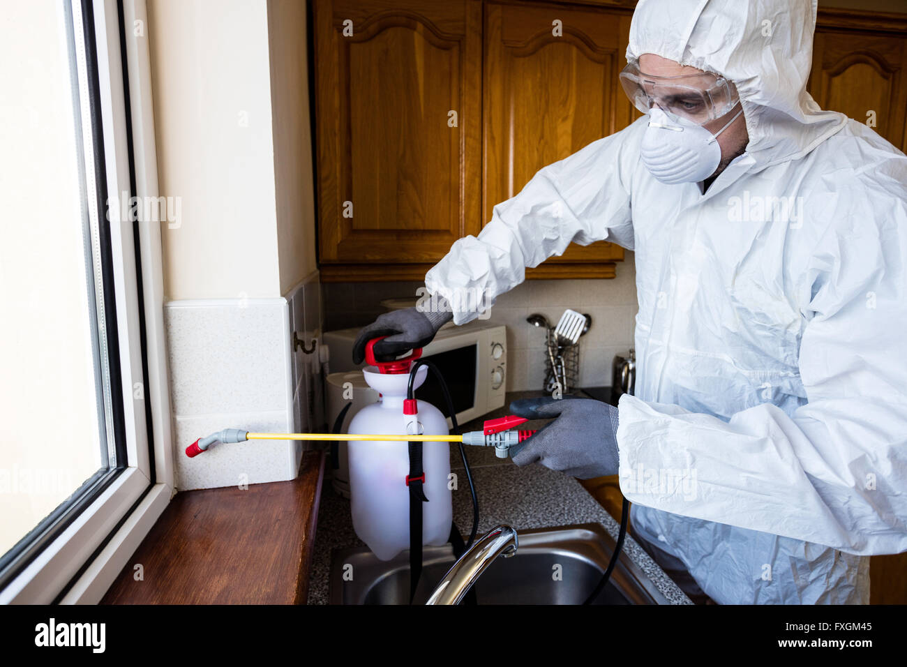 Control de plagas hombre fumigar con pesticidas Foto de stock