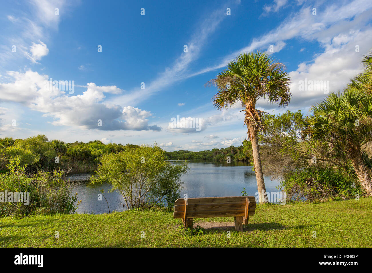 Vistas al mar de la banqueta en Deer Creek en la Pradera Pradera Deer Creek Preserve en Venecia Florida Foto de stock
