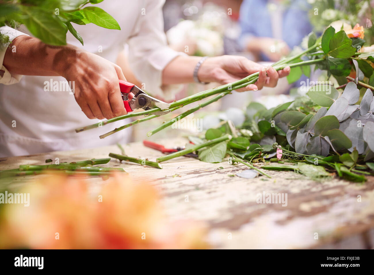 Floristería recortar tallos florales en flower shop Foto de stock
