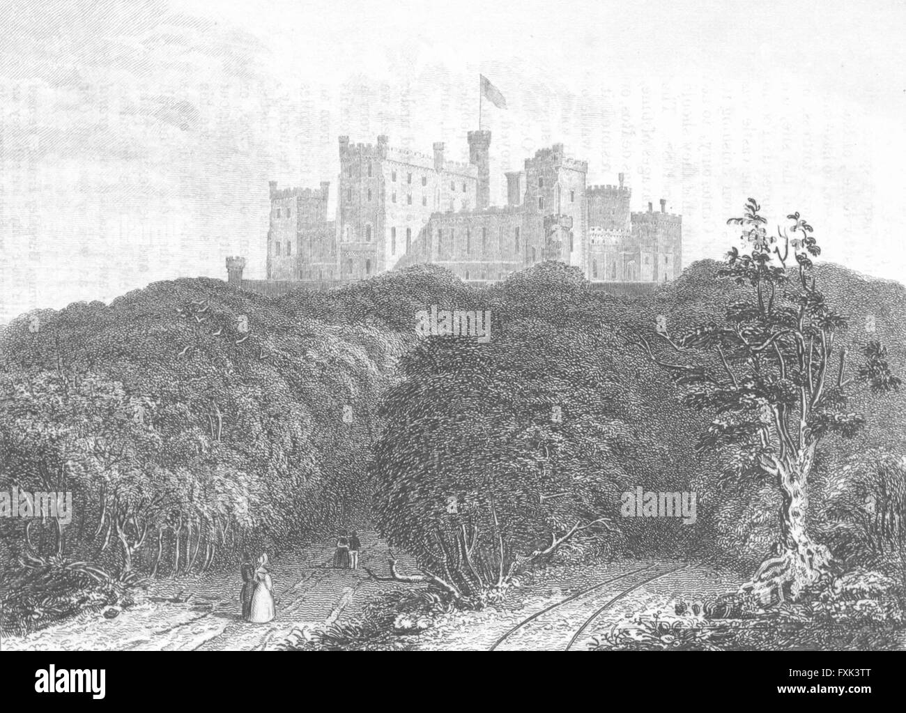 LEICS: Castillo de Belvoir: Saunders, antiguos bosques imprimir 1836 Foto de stock