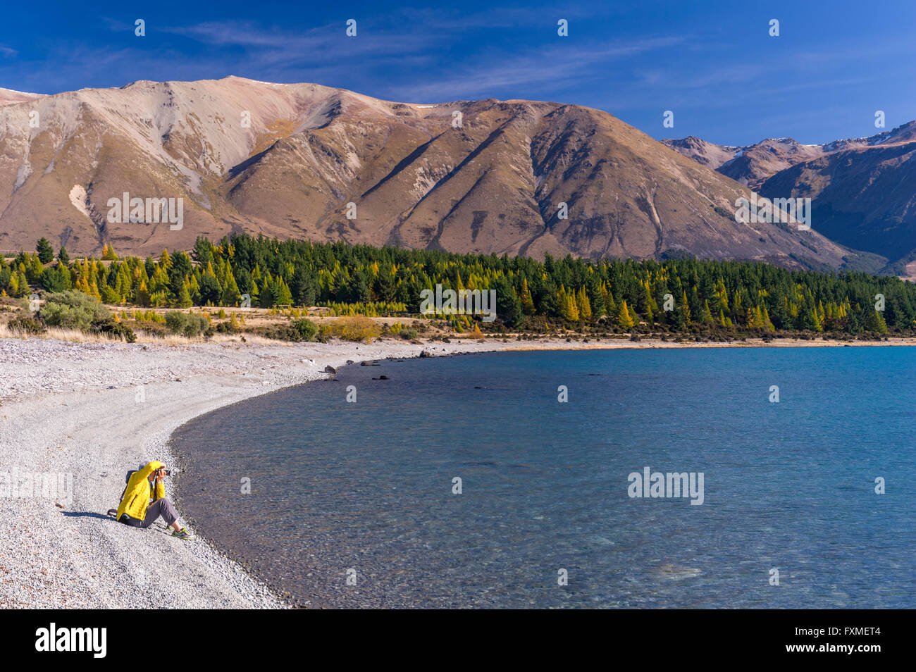 Isla del Sur, Nueva Zelanda Foto de stock