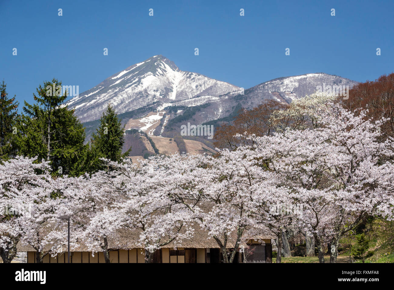 Monte bandai fotografías e imágenes de alta resolución Alamy