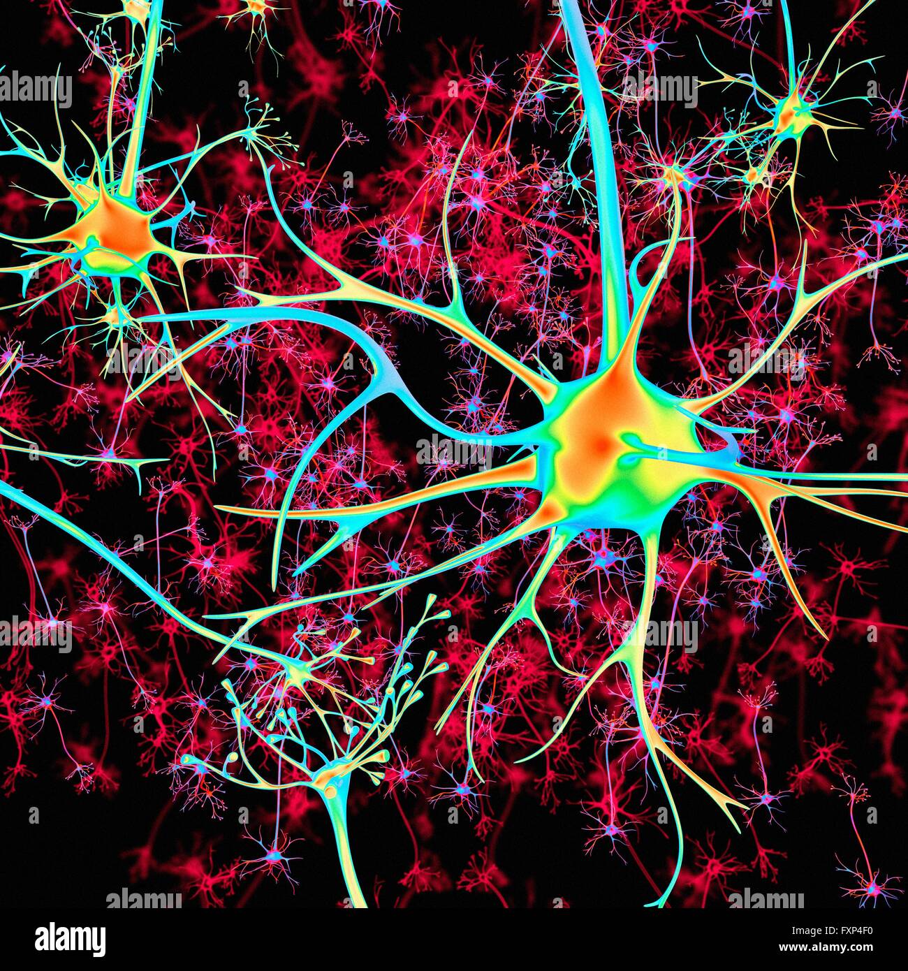 Neuron, equipo de ilustración. Foto de stock