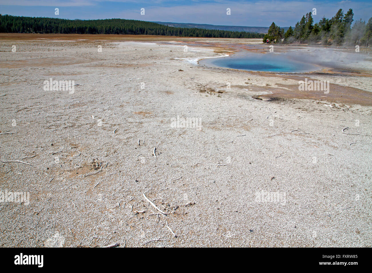 Celestino descubierta en Fountain Paint Pot, el Parque Nacional de Yellowstone. Foto de stock