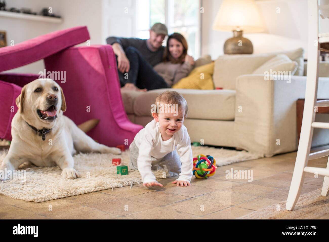 Baby Boy y perro mascota jugando en fort realizados desde el sofá cojines Foto de stock