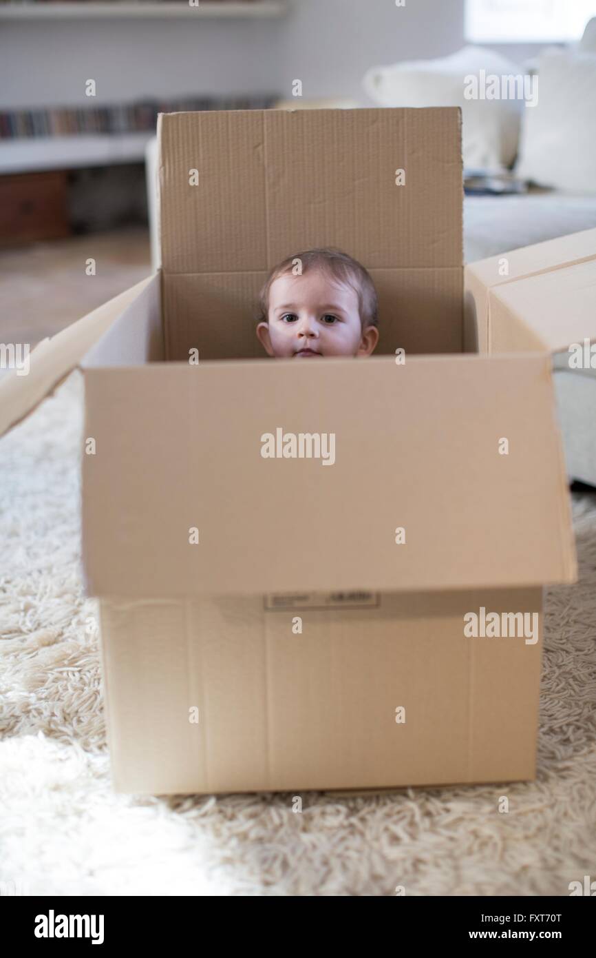 Baby Boy en caja de cartón asoma Foto de stock