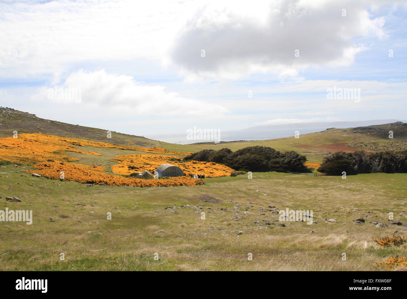 Las praderas de West Point, Isla Falkland Islands Foto de stock