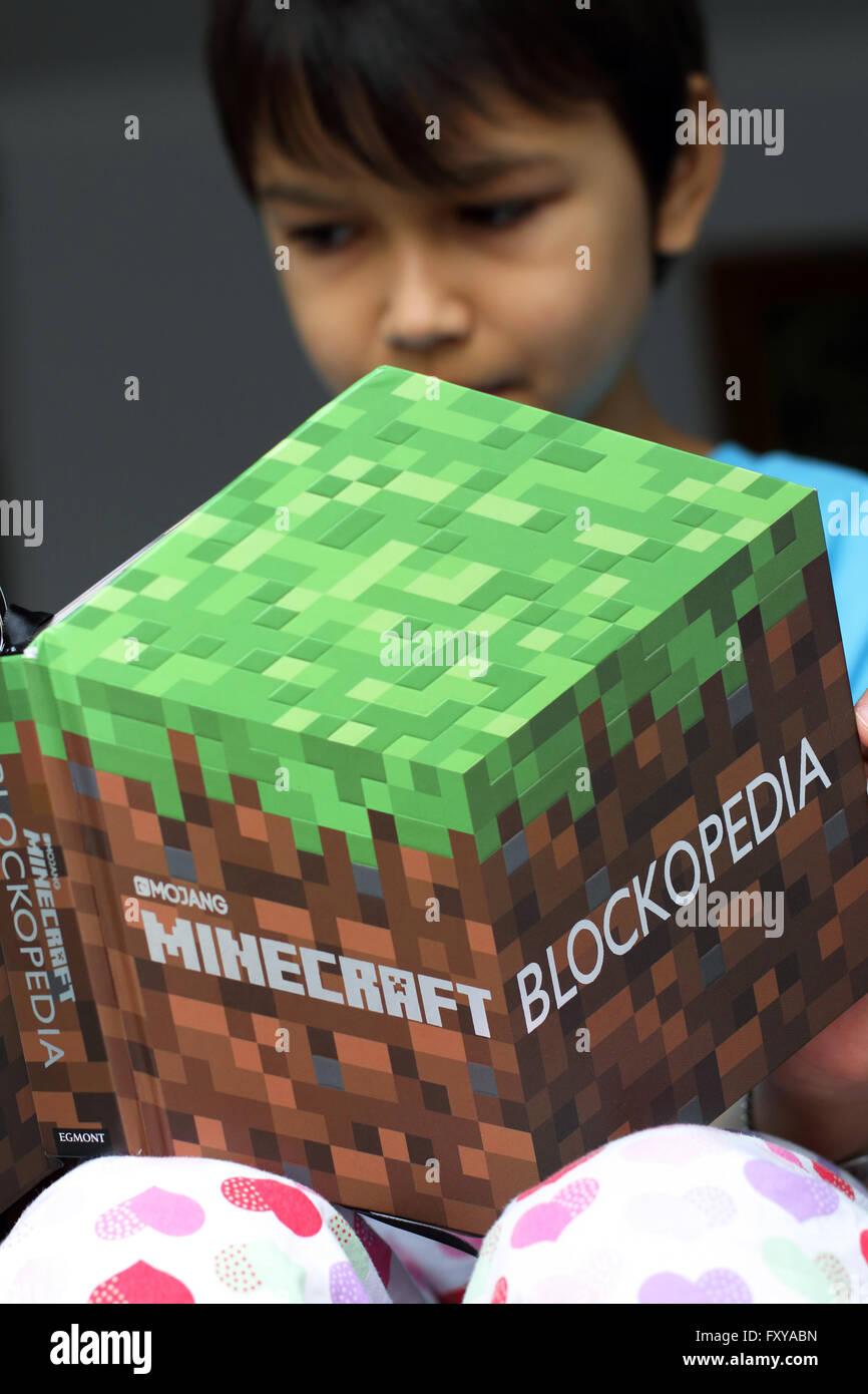 Chico leyendo Minecraft libro Foto de stock