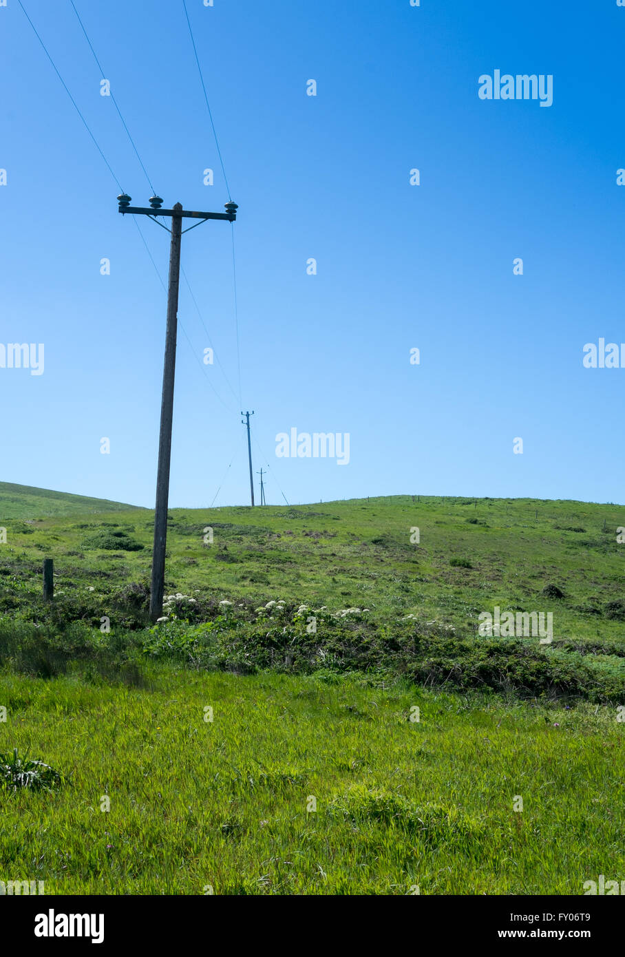 Postes eléctricos cruzando y subiendo por una ladera de hierba verde con un fondo de cielo azul Foto de stock
