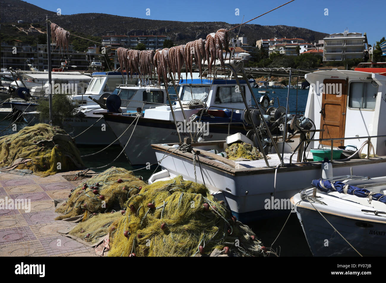 Attica Grecia Porto Rafti pulpos colgando para secar encima de botes y redes de pesca en el puerto Foto de stock