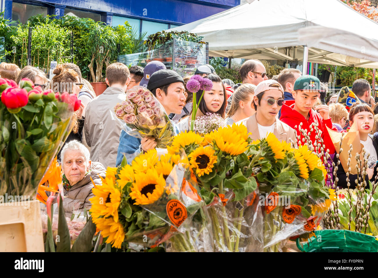 Londres, Reino Unido - 17 de abril de 2016: Columbia Road Flower mercado dominical. Los vendedores ambulantes están vendiendo su stock Foto de stock