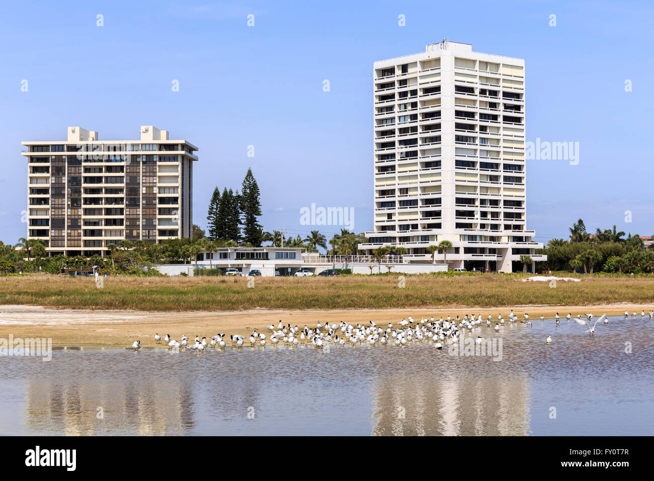 Edificios de condominios a lo largo de la línea de la orilla de la playa de Siesta Key. La Florida fuera de Sarasota. Foto de stock