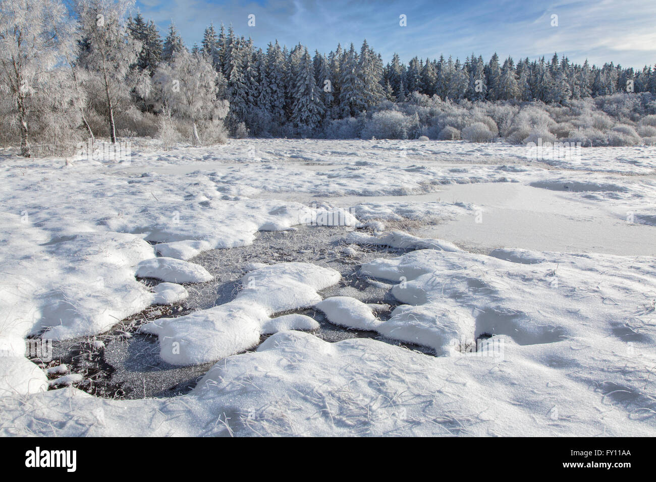 Páramos con pingo congelada en invierno en el Hoge Venen / Alta Fens / Hautes Fagnes, reserva natural belga en Lieja, Bélgica Foto de stock