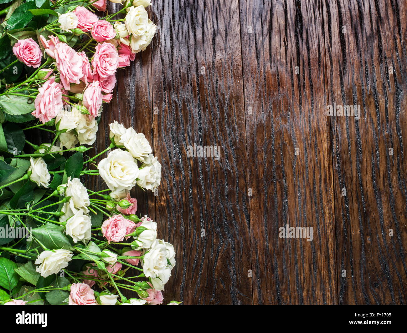 Delicadas rosas frescas en el fondo de madera. Foto de stock