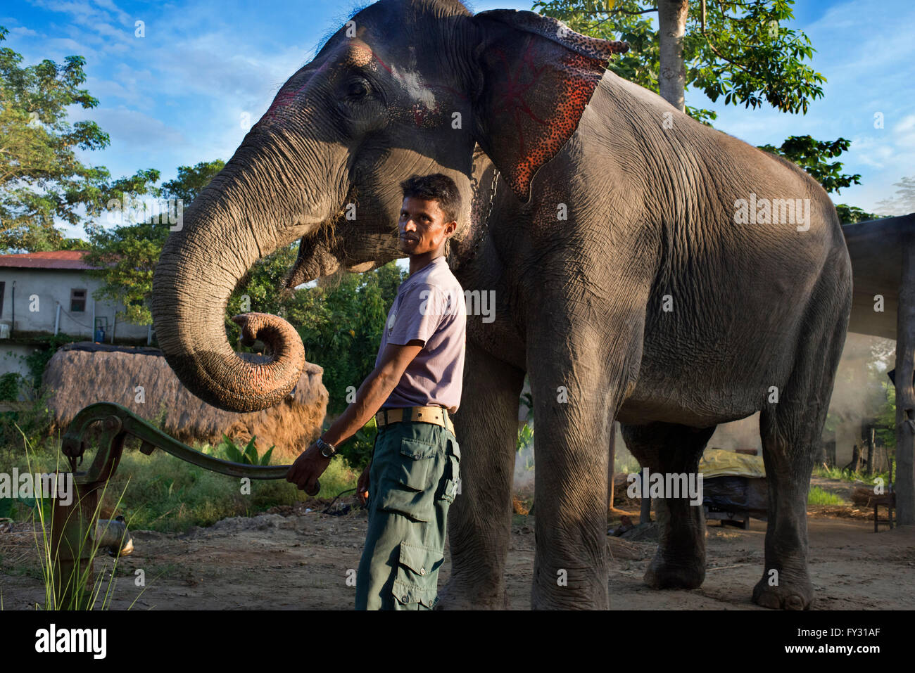 Uno de los cuidadores de elefantes que están destinados para los safaris en el Parque Nacional de Chitwan. Foto de stock