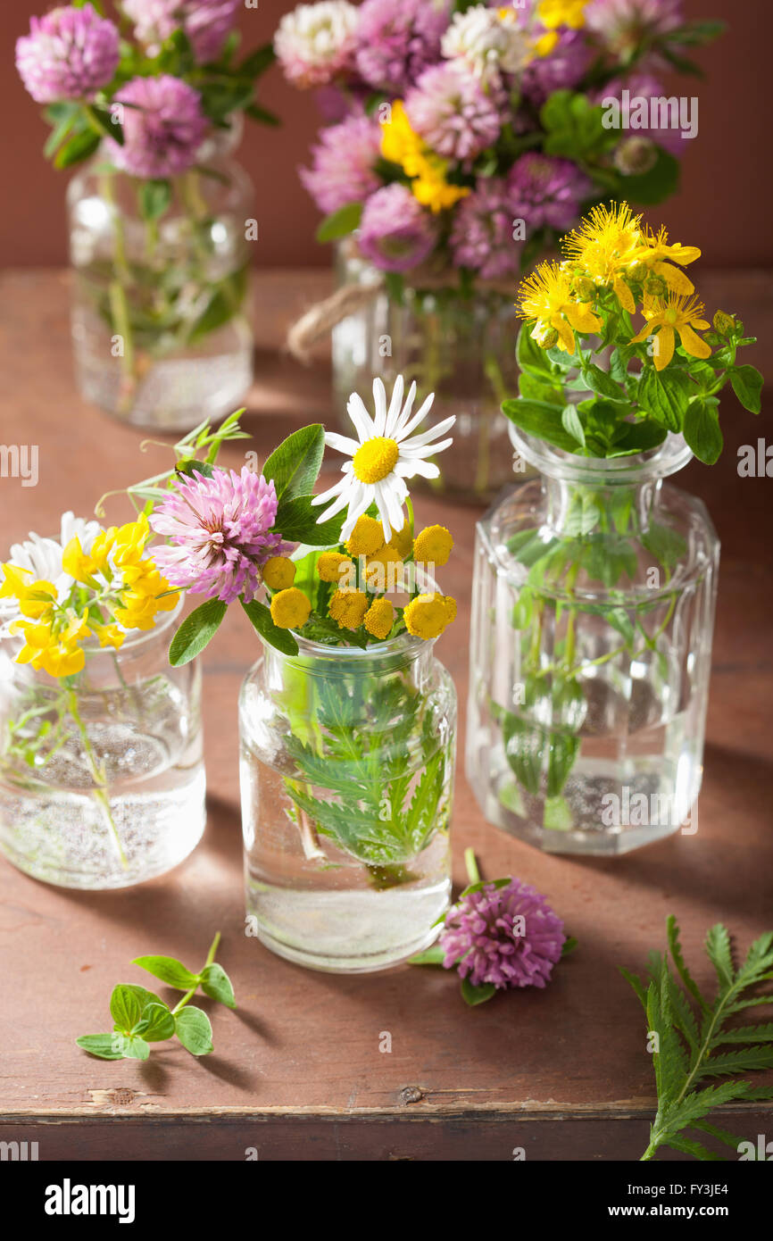 Médicos de coloridas flores y hierbas en frascos Foto de stock