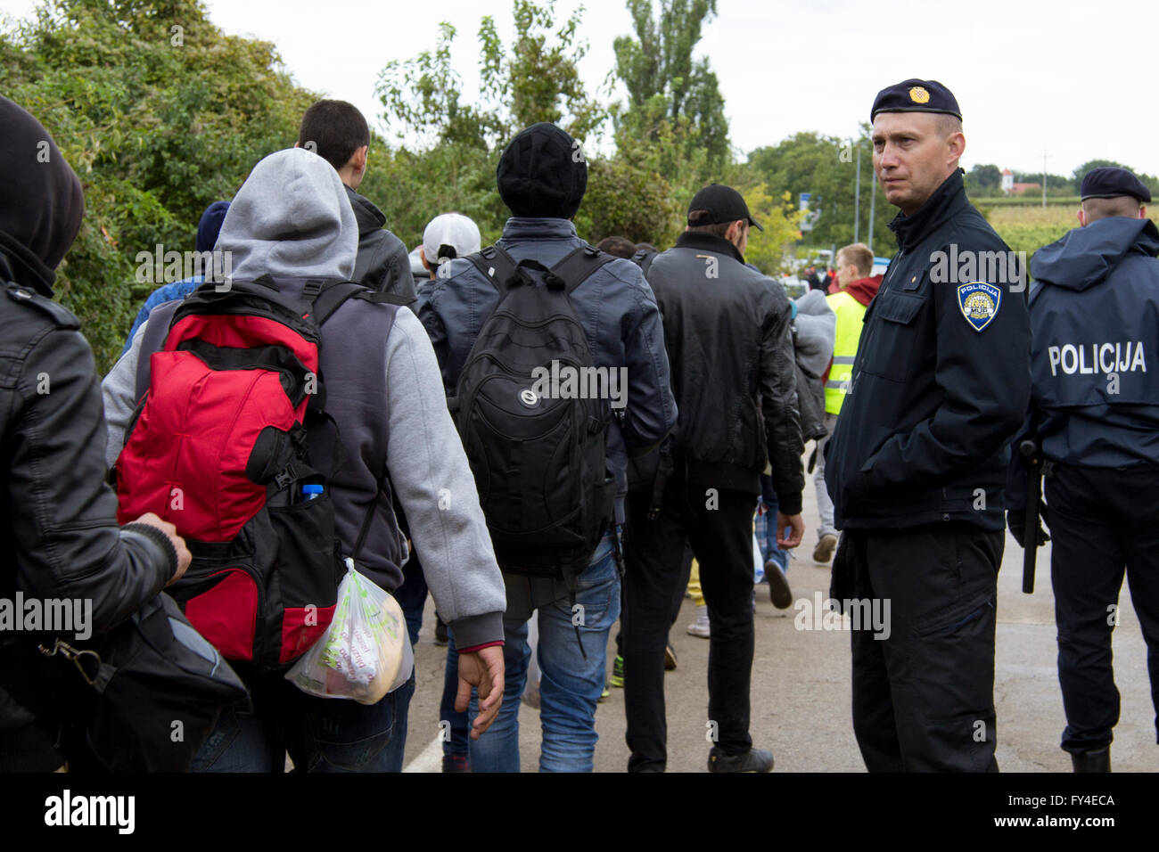 Refugiados a cruzar la frontera entre Berkasovo serbocroata (Serbia) y Bapska (Croacia) Foto de stock