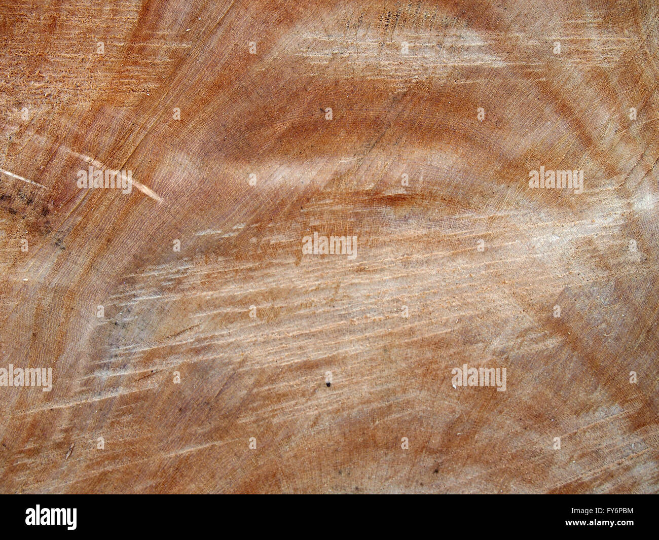 Motosierra para cortar árboles de tronco marrón rojizo de cerca Foto de stock
