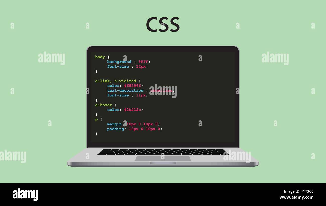 Programación de hojas de estilo en cascada CSS con laptop y código de  script Imagen Vector de stock - Alamy