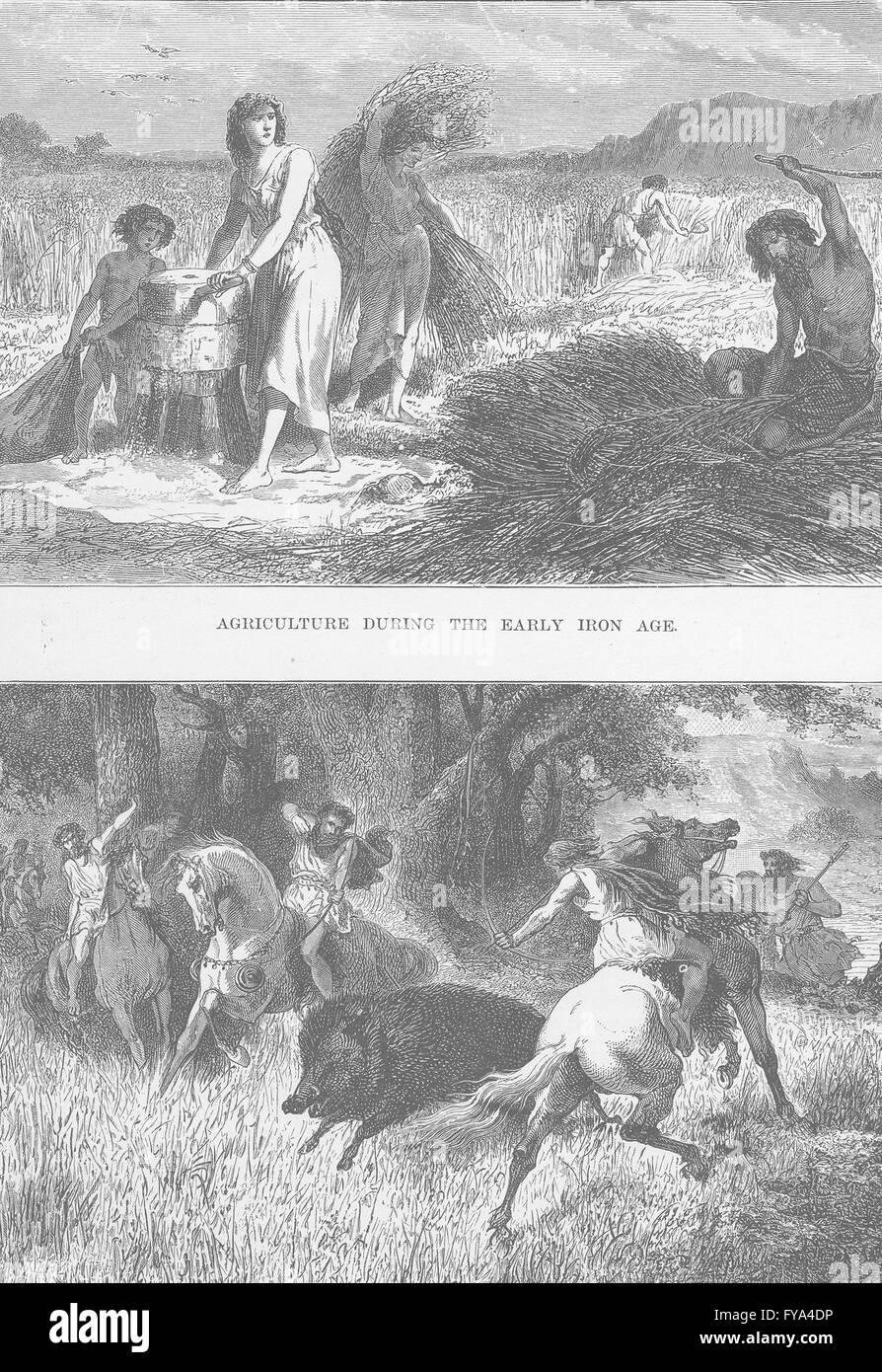 Edad de Hierro: la agricultura y la persecución durante la Primera Edad del Hierro, la impresión vieja 1893 Foto de stock